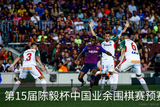 第15届陈毅杯中国业余围棋赛预赛收官 本赛阵容出炉